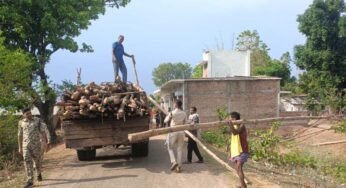गौरेला क्षेत्र में सागौन की अवैध कटाई पर वन विभाग की बड़ी कार्रवाई