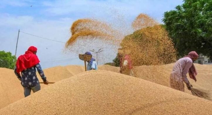 मध्यप्रदेश ने गेहूं उपार्जन में नया रिकॉर्ड बनाया : मुख्यमंत्री डॉ. यादव