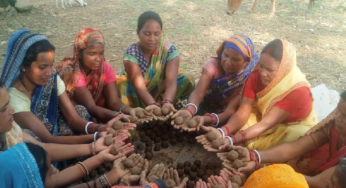 CG : सीड बॉल बनाकर प्रकृति संरक्षण की अनूठी पहल, हरित जशपुर के निर्माण पर जोर