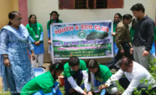 राजनांदगांव : डिलापहरी स्कूल परिसर में पौधे लगाए गए…