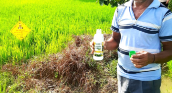 CG : नैनो उर्वरक के उपयोग से धान उत्पादन में हुई वृद्धि, लागत में आई कमी – किसान निरंजन