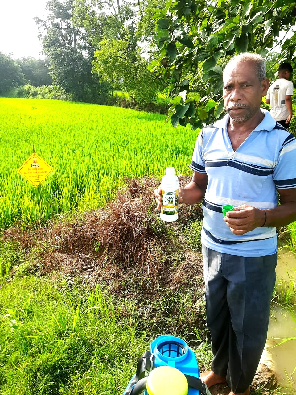 नैनो उर्वरक के उपयोग से धान उत्पादन में हुई वृद्धि, लागत में आई कमी - किसान निरंजन