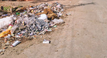 राजनांदगांव : फ्लाईओवर के नीचे सूखे पत्तों और कचरे का ढेर…