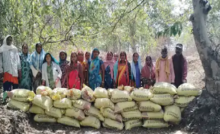 राजनांदगांव : मिशन जलरक्षा : श्रमदान से बोरी बंधान…