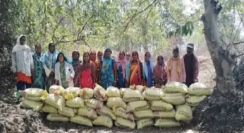 राजनांदगांव : मिशन जलरक्षा : श्रमदान से बोरी बंधान…
