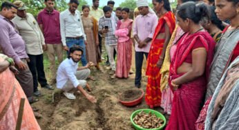 ​धमतरी का ‘नगरी’ बनेगा हल्दी उत्पादन का नया हब: 250 किसानों ने थामा वैज्ञानिक खेती का हाथ, 250 टन पैदावार का लक्ष्य