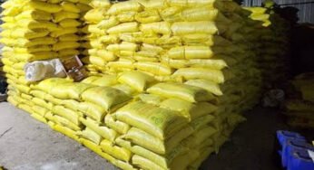 सेवा सहकारी समिति मुनुंद में पर्याप्त मात्रा में रासायनिक खाद उपलब्धता