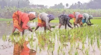 बस्तर में खरीफ की तैयारियां तेज, मानसून से पहले खेतों में उम्मीदों की बुआई शुरू