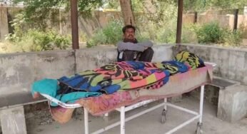 धमतरी में मधुमक्खियों का कहर, हमले में सास की मौत; दामाद की हालत गंभीर