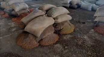 राजनांदगांव मंडी में जलभराव से हाहाकार, चबूतरों पर रखा धान भी भीगा