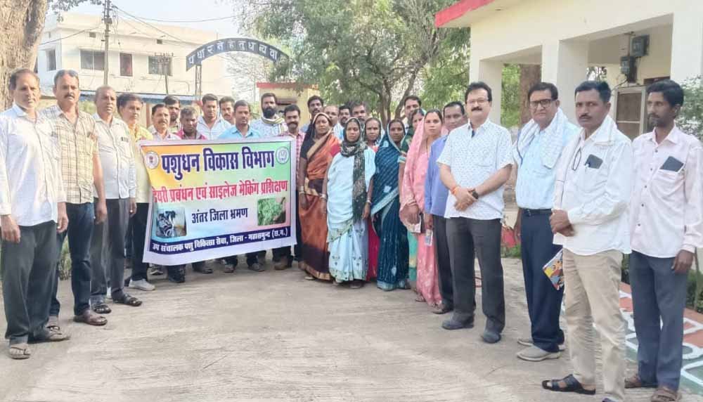 दुग्ध उत्पादन से बढ़ रही किसानों की आय, पशुधन विकास विभाग कर रहा प्रोत्साहित