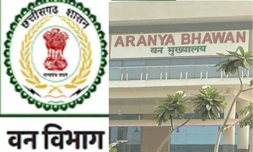 छत्तीसगढ़ वन विभाग में बड़ा फेरबदल, चार वरिष्ठ IFS अधिकारियों को मिली नई जिम्मेदारी
