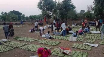 बस्तर में तेंदूपत्ता खरीदी का नया रिकॉर्ड, फिर भी 50 हजार संग्राहकों ने नहीं किया संग्रहण कार्य