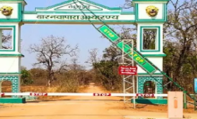 CG : बारनावापारा अभयारण्य में नियमों का कड़ाई से पालन, आवागमन के लिये सफारी मार्ग पूर्णतः प्रतिबंधित …