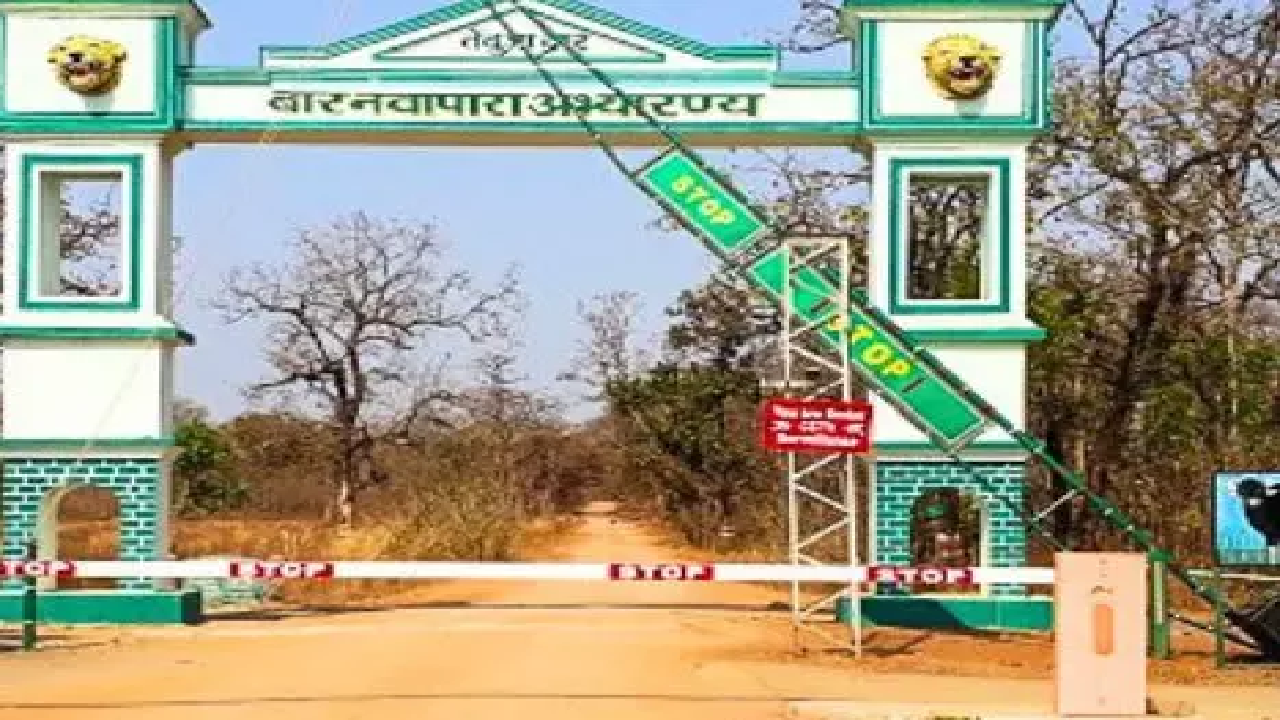 CG : बारनावापारा अभयारण्य में नियमों का कड़ाई से पालन, आवागमन के लिये सफारी मार्ग पूर्णतः प्रतिबंधित …