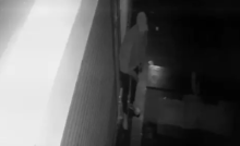CG : दवाई दुकानों में चोरी, CCTV में नकाबपोश कैद …