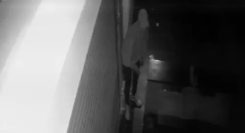 CG : दवाई दुकानों में चोरी, CCTV में नकाबपोश कैद …