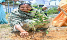 CG : विश्व पर्यावरण दिवस पर मंत्री लक्ष्मी राजवाड़े ने किया पौधरोपण …