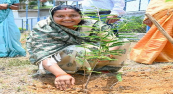 CG : विश्व पर्यावरण दिवस पर मंत्री लक्ष्मी राजवाड़े ने किया पौधरोपण …