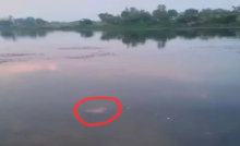 CG : एनीकट में डूबने से युवक की मौत …