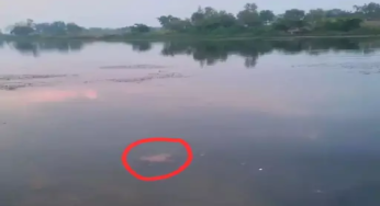 CG : एनीकट में डूबने से युवक की मौत …