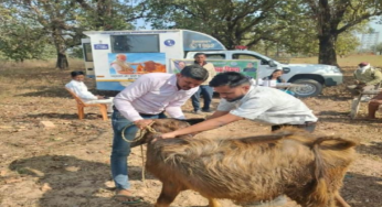 CG : एक कॉल पर घर पहुंच रही पशु चिकित्सा सेवा, ग्रामीण पशुपालकों के लिए वरदान बनी मोबाइल यूनिट …