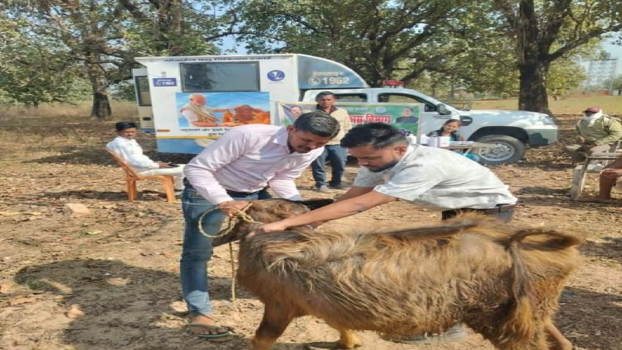 एक कॉल पर घर पहुंच रही पशु चिकित्सा सेवा, ग्रामीण पशुपालकों के लिए वरदान बनी मोबाइल यूनिट ...