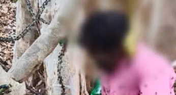 CG : बुजुर्ग ने पेड़ में लगाई फांसी, मानसिक तनाव के चलते दे दी जान …