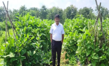 CG : ग्राफ्टेड बैंगन की खेती से क्रांति चंद्राकर की आय में हुआ इजाफा …