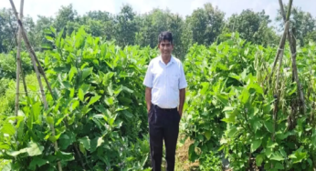 CG : ग्राफ्टेड बैंगन की खेती से क्रांति चंद्राकर की आय में हुआ इजाफा …