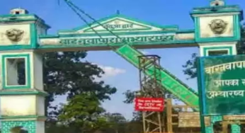 CG : छत्तीसगढ़ के सभी टाइगर रिजर्व, राष्ट्रीय उद्यान और अभ्यारण्य पर्यटकों के लिए बंद …