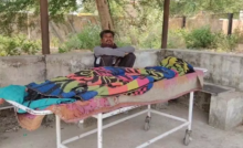 CG : मधुमक्खियों का कहर: सास की मौत, दामाद जिंदगी और मौत के बीच जूझ रहा …