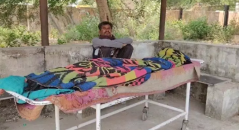 CG : मधुमक्खियों का कहर: सास की मौत, दामाद जिंदगी और मौत के बीच जूझ रहा …