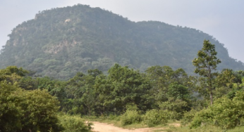 CG : ऐतिहासिक धरोहर, संस्कृति, साहित्य और लोककला का होगा भव्य संगम …