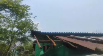 CG : आसमानी गाज की चपेट में आई महिलाएं, 3 की मौत …
