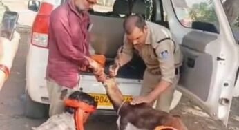 गुना के डायल-112 हीरोज घायल हिरण के शावक को सुरक्षित वन विभाग के सुपुर्द किया