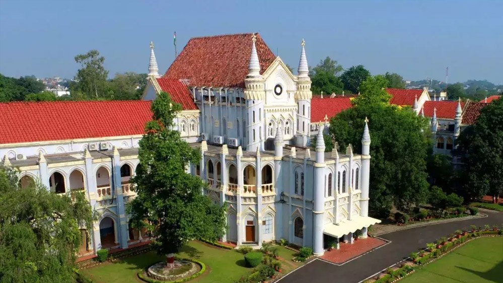 MP High Court में बड़ा खुलासा, बाघों की मौतों के पीछे शिकार की आशंका; NTCA ने किया स्वीकार