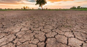 MP Weather: 33 जिलों में सामान्य से कम बारिश, किसानों की बढ़ी चिंता; फिलहाल भारी बारिश के संकेत नहीं
