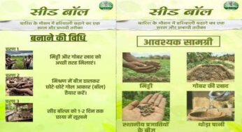 सीड बॉल अभियान- हरियाली बढ़ाने का सरल और प्रभावी माध्यम