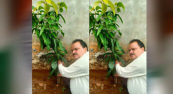 अधिमान्य पत्रकार नेतृत्व समिति के प्रदेश अध्यक्ष प्रीतम वर्मन ने लगाया एक वृक्ष