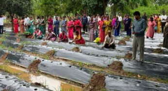 ​रायपुर : ​जलवायु परिवर्तन के दौर में किसानों के लिए वरदान बनेगी ग्राफ्टेड सब्जी: धमतरी में वैज्ञानिक प्रशिक्षण संपन्न
