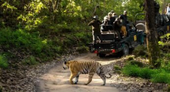 वन, वन्यजीव और पर्यावरण कानूनों के प्रभावी क्रियान्वयन के लिए न्यायिक एवं प्रशासनिक समन्वय ज़रूरी