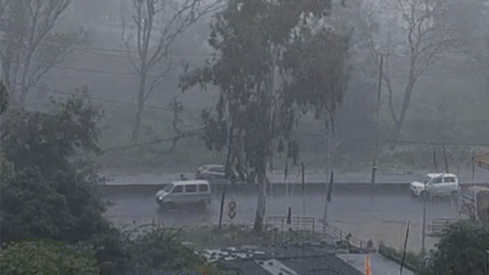 MP Weather: मध्यप्रदेश में मानसून मेहरबान, कई जिलों में झमाझम बारिश; गुना-शिवपुरी समेत 6 जिलों में भारी बारिश का अलर्ट