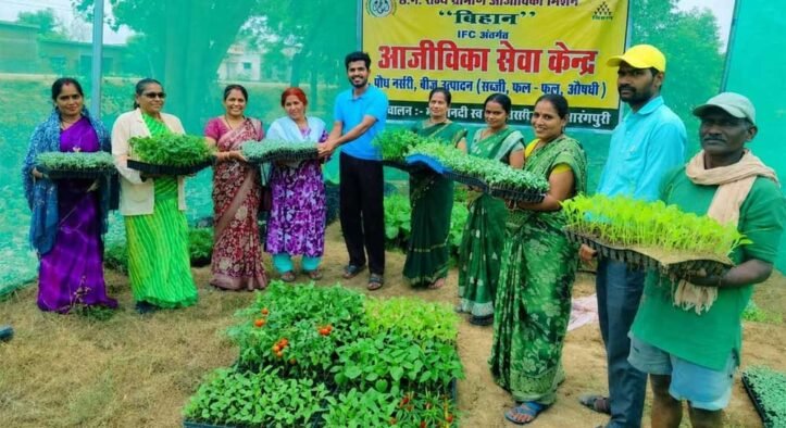 आईएफसी नर्सरी बनी किसानों की उम्मीद