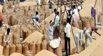 दुर्ग में धान खरीदी में गड़बड़ी, समिति प्रबंधक के खिलाफ अपराध दर्ज