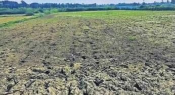 बस्तर संभाग में बारिश की बेरुखी से बढ़ी सूखे की चिंता, किसान परेशान