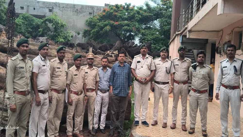 कोरबा में 206 साल के पेड़ों की लकड़ी बरामद, आरोपी गिरफ्तार, आरा मिल सील