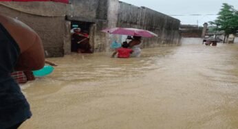 छत्तीसगढ़ में बारिश का कहर, घरों में घुसा पानी, दर्जनभर गांवों का संपर्क टूटा