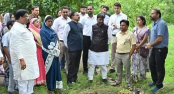 धमतरी जिले में 200 एकड़ से बढ़ाकर 600 एकड़ तक औषधीय खेती के विस्तार का लक्ष्य