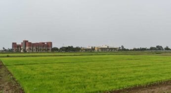 विलंबित मानसून के बीच धान किसानों के लिए आईसीएआर-एनआईबीएसएम की विशेष सलाह